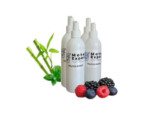 Aromatizante Ambiental en la compra de 1 Motel Expert